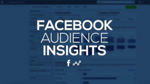 Audience Insights là gì