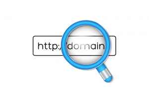 Top 4 công cụ check tuổi domain phổ biến nhất hiện nay