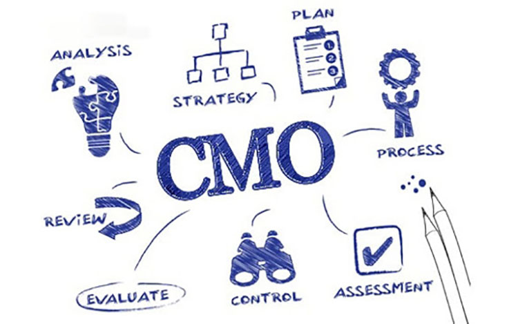 Chief Marketing Officer là gì? Công việc của Chief Marketing Officer