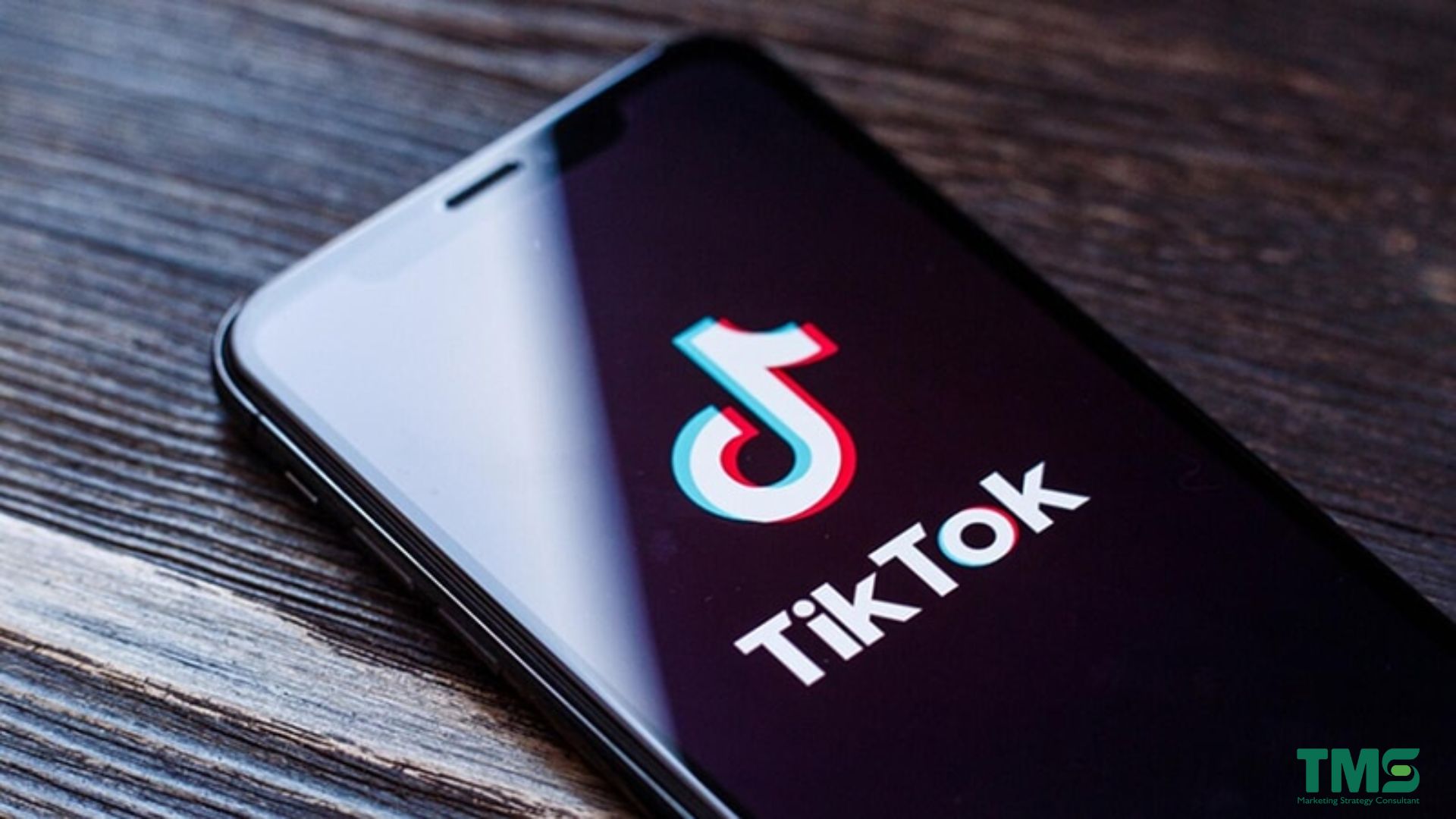 Xây dựng kênh Tiktok đạt triệu view cực nhanh chóng tại TMS